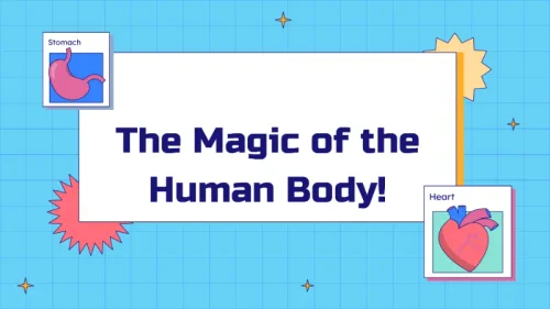 The Magic of the Human Body